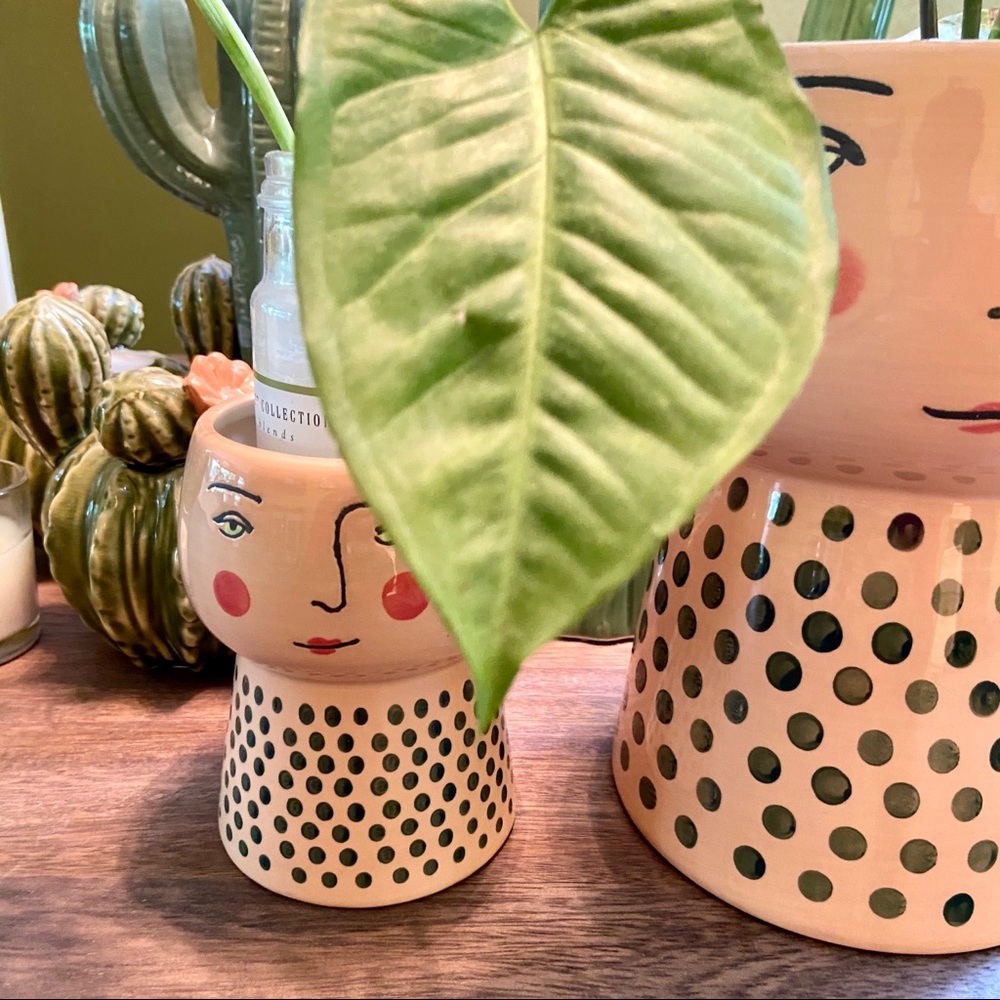 🌿Large Stoneware Family Planter/Vase Blue/White - Picture 16 of 16